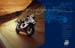 Brutale_Ads_TomD